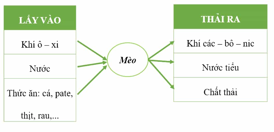 Khoa học lớp 4 trang 67 Chân trời sáng tạo