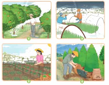 Khoa học lớp 4 trang 68 Chân trời sáng tạo