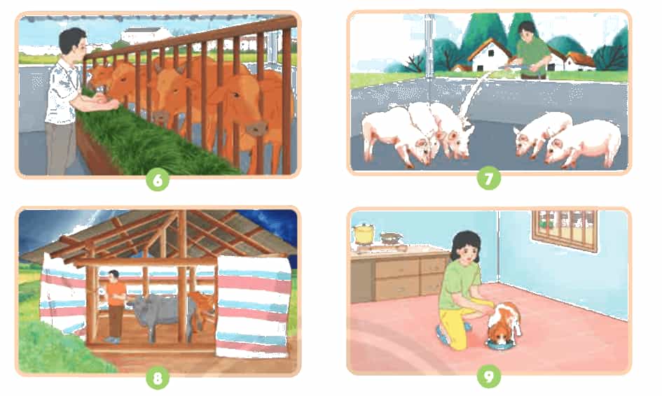 Khoa học lớp 4 trang 70 Chân trời sáng tạo
