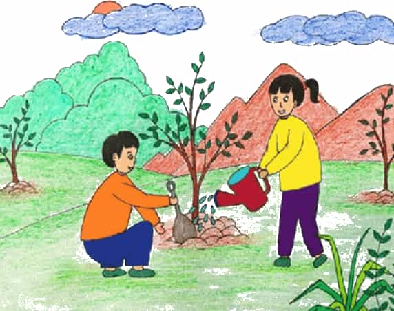 Khoa học lớp 4 trang 71 Chân trời sáng tạo