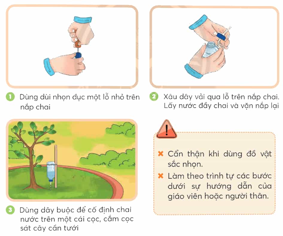 Khoa học lớp 4 trang 71 Chân trời sáng tạo