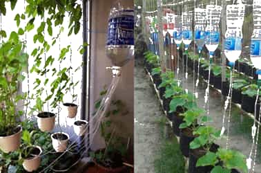 Khoa học lớp 4 trang 71 Chân trời sáng tạo