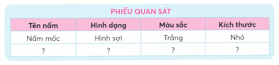 Khoa học lớp 4 trang 73 Chân trời sáng tạo