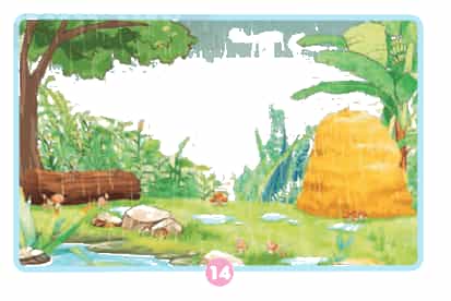 Khoa học lớp 4 trang 75 Chân trời sáng tạo
