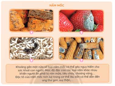 Khoa học lớp 4 trang 80 Chân trời sáng tạo
