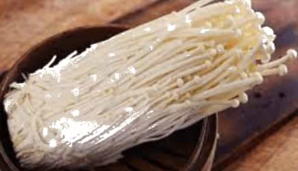 Khoa học lớp 4 trang 85 Chân trời sáng tạo