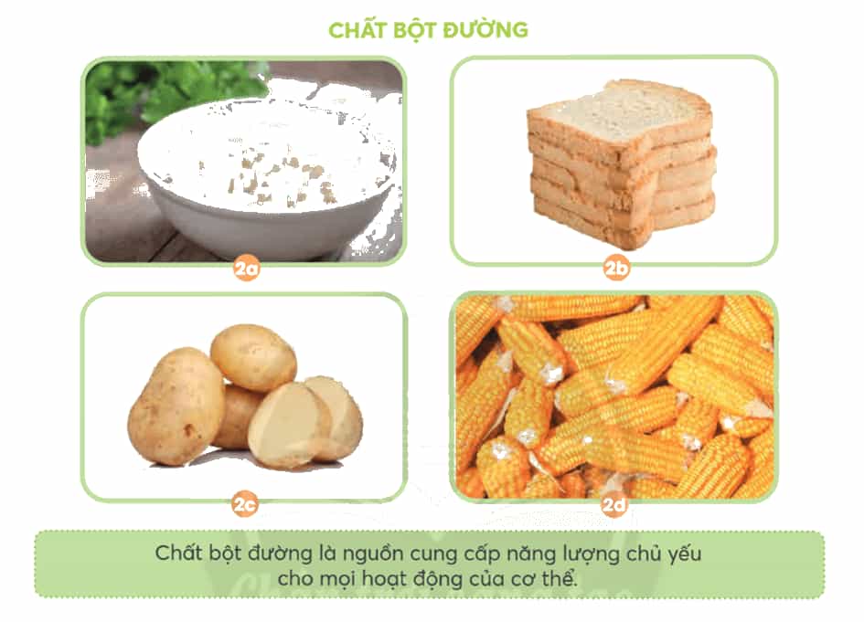 Khoa học lớp 4 Chân trời sáng tạo Bài 23: Các nhóm chất dinh dưỡng có trong thức ăn