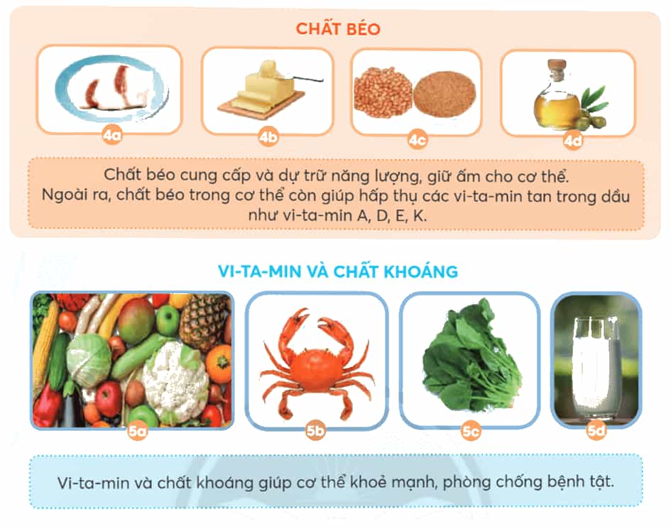 Khoa học lớp 4 Chân trời sáng tạo Bài 23: Các nhóm chất dinh dưỡng có trong thức ăn