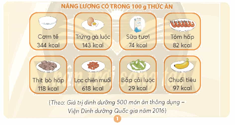Khoa học lớp 4 trang 91 Chân trời sáng tạo