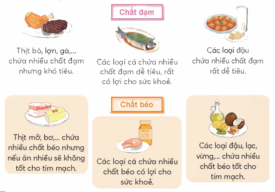 Khoa học lớp 4 trang 94 Chân trời sáng tạo