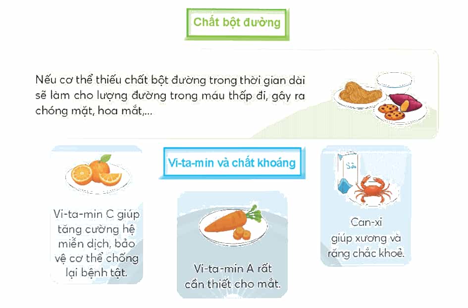 Khoa học lớp 4 trang 94 Chân trời sáng tạo