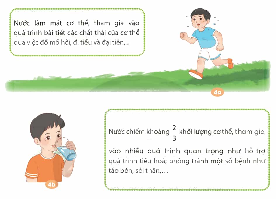 Khoa học lớp 4 Chân trời sáng tạo Bài 25: Ăn uống khoa học để cơ thể khỏe mạnh