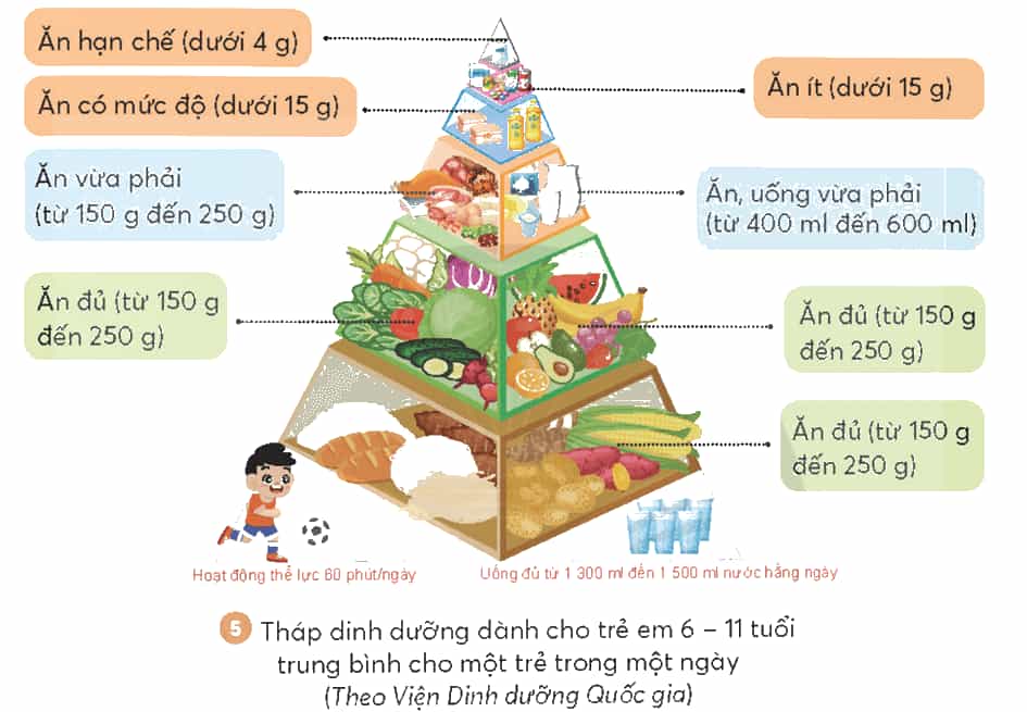 Khoa học lớp 4 Chân trời sáng tạo Bài 25: Ăn uống khoa học để cơ thể khỏe mạnh