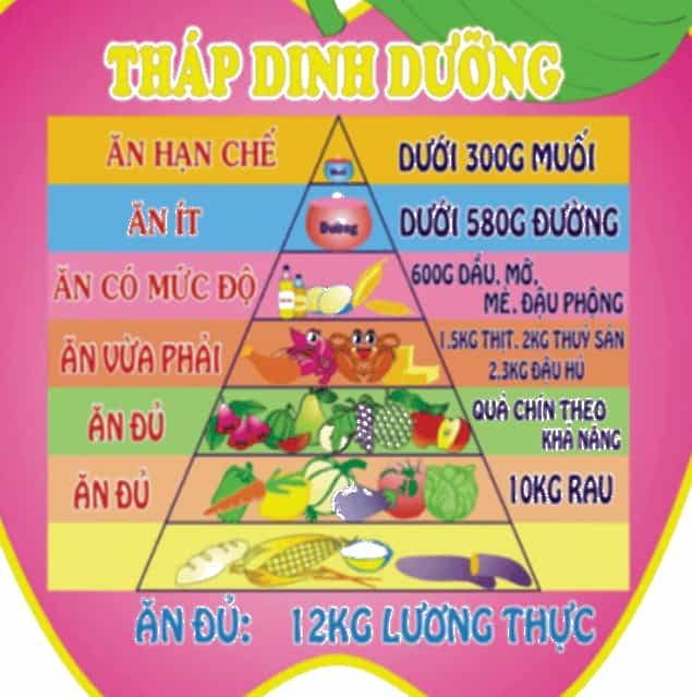 Khoa học lớp 4 trang 98 Chân trời sáng tạo
