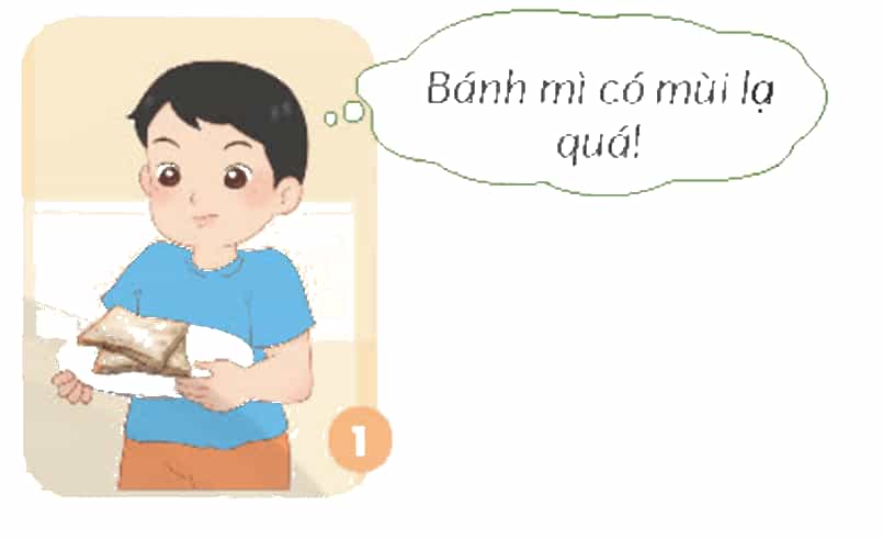 Khoa học lớp 4 trang 99 Chân trời sáng tạo