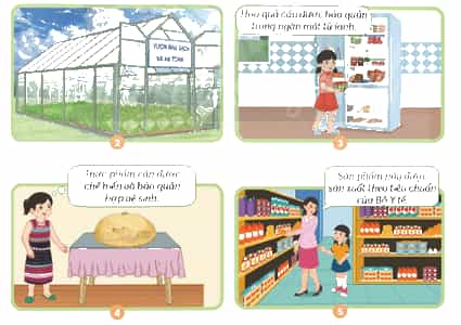 Khoa học lớp 4 trang 99 Chân trời sáng tạo