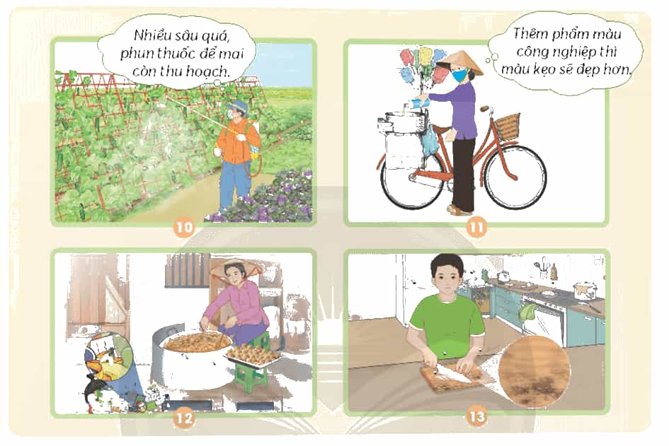 Khoa học lớp 4 trang 101 Chân trời sáng tạo