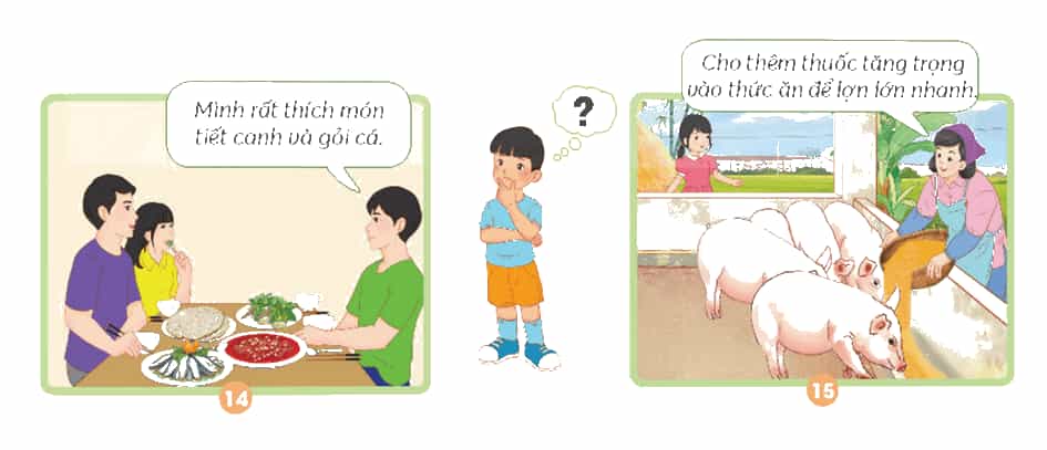 Khoa học lớp 4 trang 101 Chân trời sáng tạo