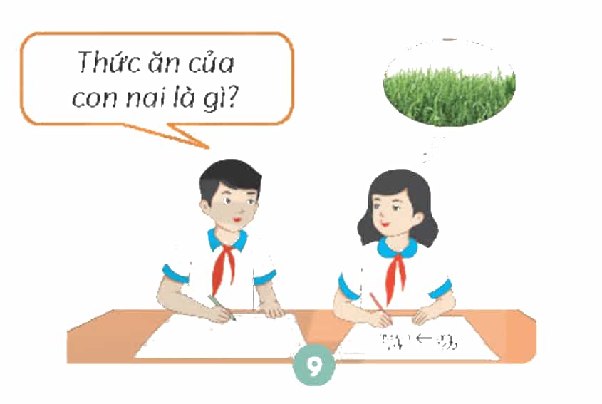 Khoa học lớp 4 trang 114 Chân trời sáng tạo