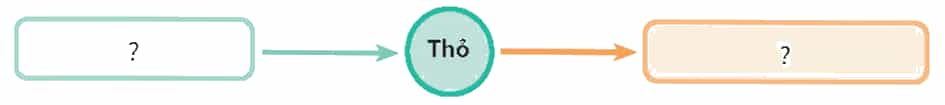 Khoa học lớp 4 trang 114 Chân trời sáng tạo
