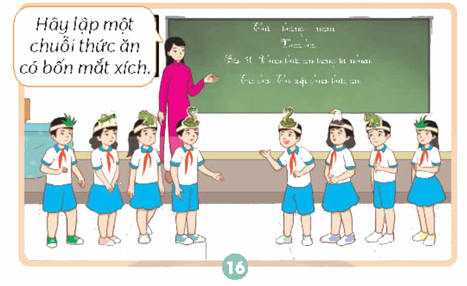 Khoa học lớp 4 Chân trời sáng tạo Bài 30: Chuỗi thức ăn trong tự nhiên