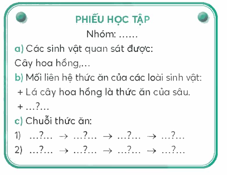 Khoa học lớp 4 Chân trời sáng tạo Bài 30: Chuỗi thức ăn trong tự nhiên