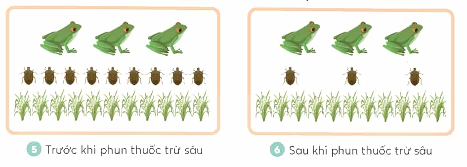 Khoa học lớp 4 trang 119 Chân trời sáng tạo