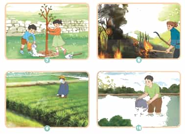 Khoa học lớp 4 trang 120 Chân trời sáng tạo