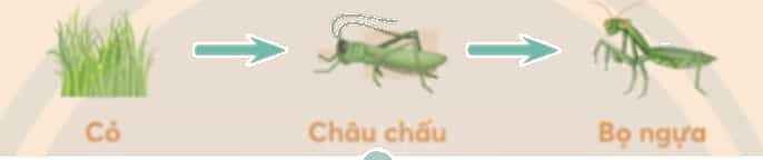 Khoa học lớp 4 trang 121 Chân trời sáng tạo