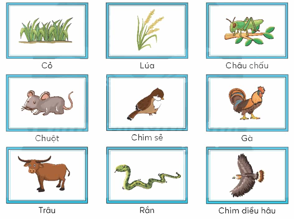 Khoa học lớp 4 trang 121 Chân trời sáng tạo