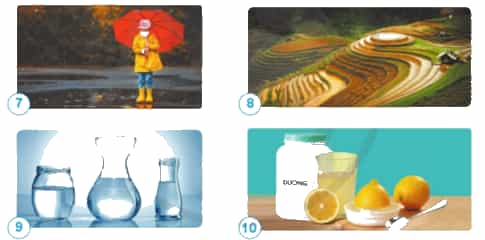 Mỗi hình dưới đây thể hiện ứng dụng tính chất nào của nước?