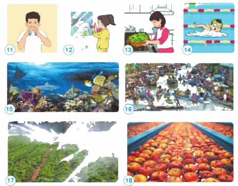 Trình bày vai trò của nước được thể hiện trong mỗi hình dưới đây.