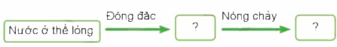 Cho biết thể của nước trong các trường hợp sau.