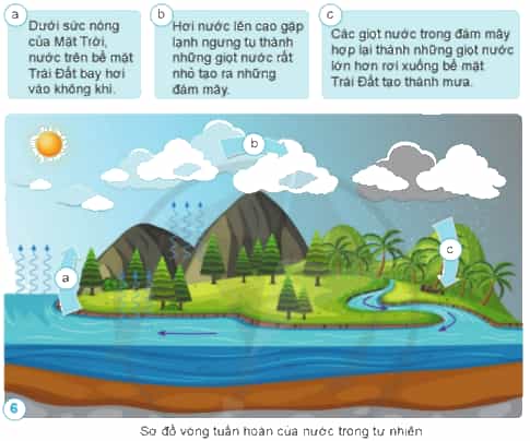 Dựa vào những gợi ý dưới đây, hãy chỉ trên sơ đồ và nói về vòng tuần hoàn của nước trong tự nhiên.