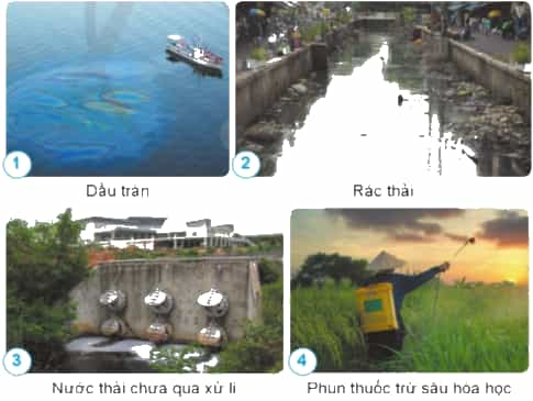 Nêu những nguyên nhân gây ô nhiễm nguồn nước ở các hình dưới đây.