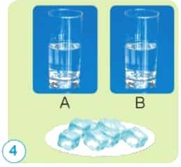 Cho biết nguyên nhân dẫn đến hiện tượng đó.