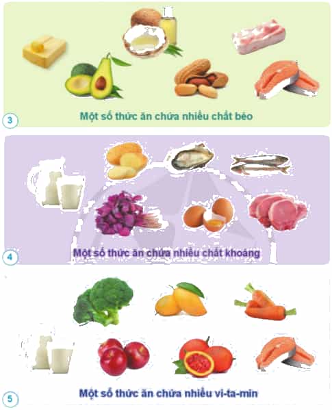 Kể tên các nhóm chất dinh dưỡng và một số thức ăn chứa nhiều chất dinh dưỡng đó trong các hình dưới đây.