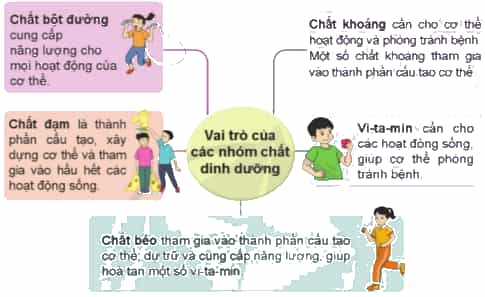 Nêu vai trò của các nhóm chất dinh dưỡng đối với cơ thể.