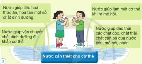 Tại sao chúng ta phải uống đủ nước mỗi ngày?