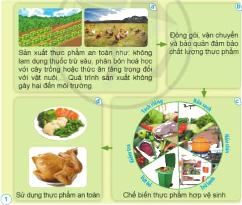 Nêu các công đoạn để có được thực phẩm an toàn cho người tiêu dùng theo gợi ý dưới đây.