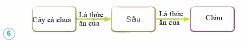 Nêu tên sinh vật có ở hình 1 phù hợp với mỗi ô trong sơ đồ chuỗi thức ăn duói đây.