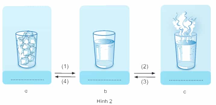 Vở bài tập Khoa học lớp 4 Kết nối tri thức Bài 2: Sự chuyển thể của nước và vòng tuần hoàn của nước trong tự nhiên