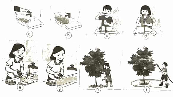 Vở bài tập Khoa học lớp 4 Kết nối tri thức Bài 3: Sự ô nhiễm và bảo vệ nguồn nước. Một số cách làm sạch nước