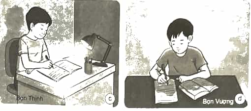 Vở bài tập Khoa học lớp 4 Kết nối tri thức Bài 9: Vai trò của ánh sáng