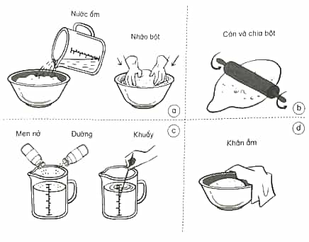 Vở bài tập Khoa học lớp 4 Kết nối tri thức Bài 20: Nấm ăn và nấm trong chế biến thực phẩm