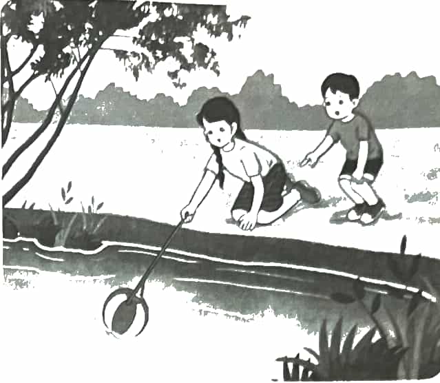 Vở bài tập Khoa học lớp 4 Kết nối tri thức Bài 27: Phòng tránh đuối nước