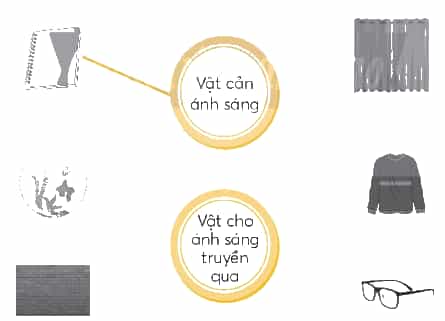 Vở bài tập Khoa học lớp 4 Chân trời sáng tạo Bài 8: Nguồn sáng và sự truyền ánh sáng