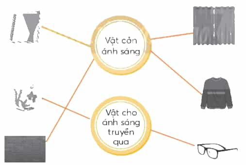 Vở bài tập Khoa học lớp 4 Chân trời sáng tạo Bài 8: Nguồn sáng và sự truyền ánh sáng