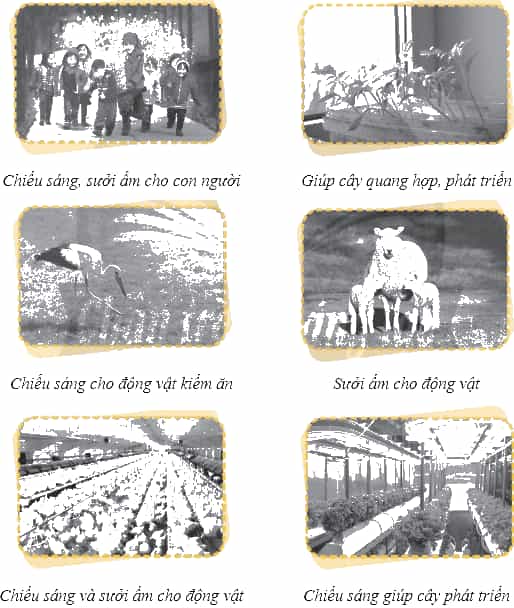 Vở bài tập Khoa học lớp 4 Chân trời sáng tạo Bài 9: Ánh sáng với đời sống
