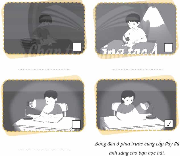 Vở bài tập Khoa học lớp 4 Chân trời sáng tạo Bài 9: Ánh sáng với đời sống